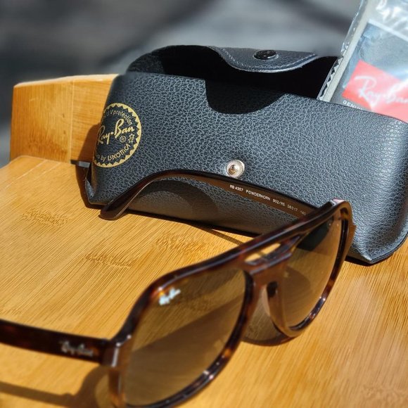 Ray-Ban Powderhorn Sunglasses - Picture 5 of 5